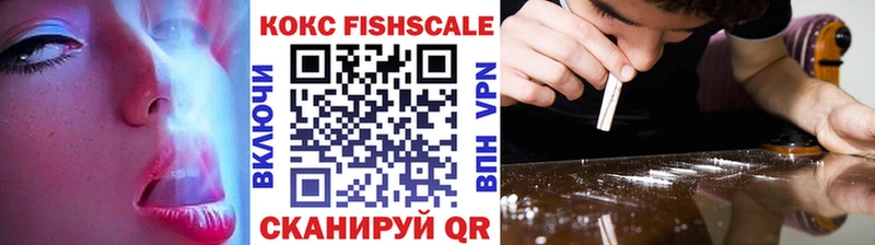 COCAIN FishScale  гидра ССЫЛКА  Краснослободск 