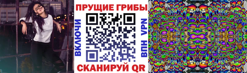 гидра рабочий сайт  Краснослободск  Галлюциногенные грибы Psilocybe  продажа наркотиков 